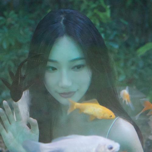 Mạnh Vãn - 孟晚