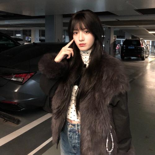 Dương Hỷ Giai - 杨喜嘉