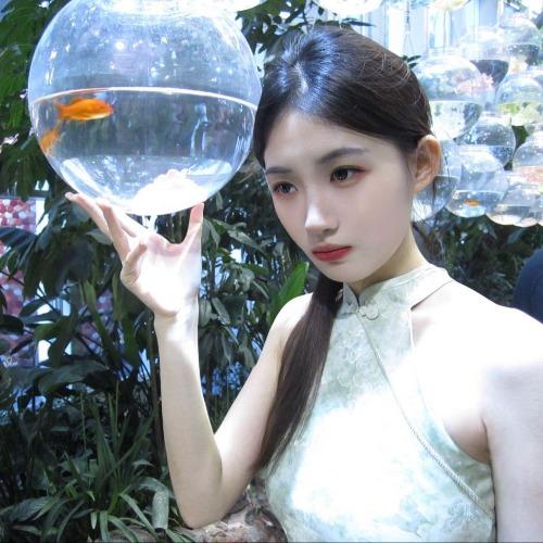Diệp Vãn - 叶挽