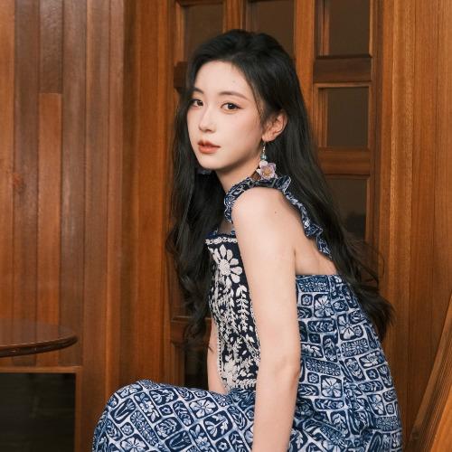 Hồ Diệu Văn - 胡耀文