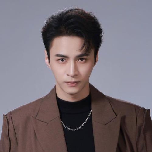 Diệp Đài Tình - 叶台情