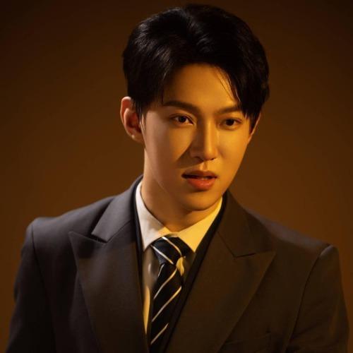 Lưu Hy Nguyên - 刘熙元