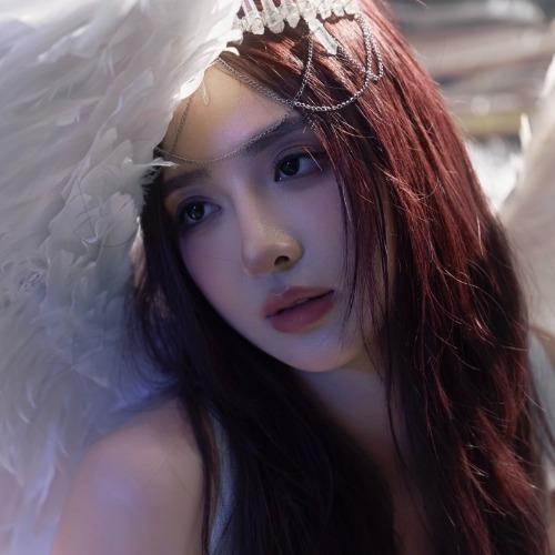 Lưu Ngọc Đồng - 刘彧彤