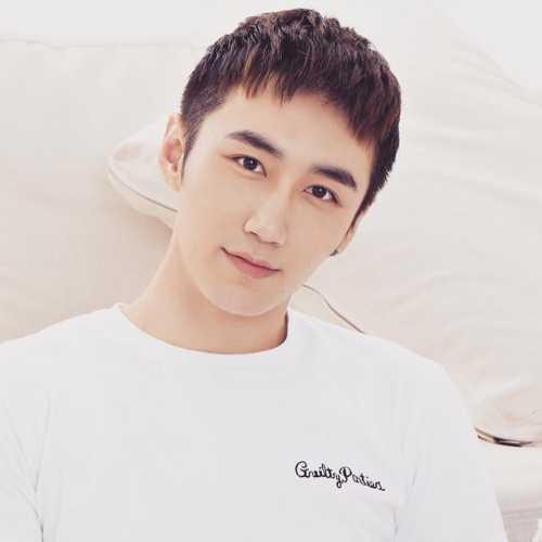 Lưu Nguyên - 刘源