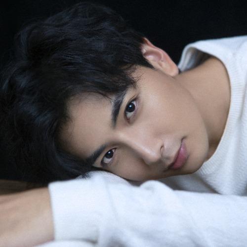 Trịnh Minh Dương - 郑明洋