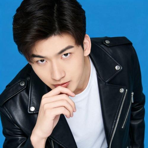 Vương Lâm Khải - 王林凯