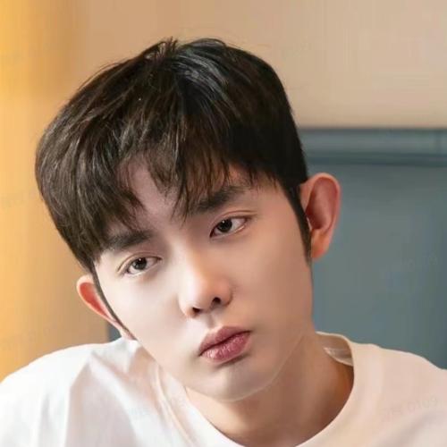 Vương Thần Bằng - 王晨鹏