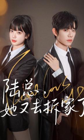 Tổng Giám Đốc Lục, Cô Ấy Lại Đi Phá Nhà Rồi - 陆总，她又去拆家了