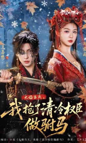 Vào Ngày Đại Hôn, Ta Cướp Vị Quyền Thần Lạnh Lùng Làm Phò Mã - 大婚当天，我抢了清冷权臣做驸马